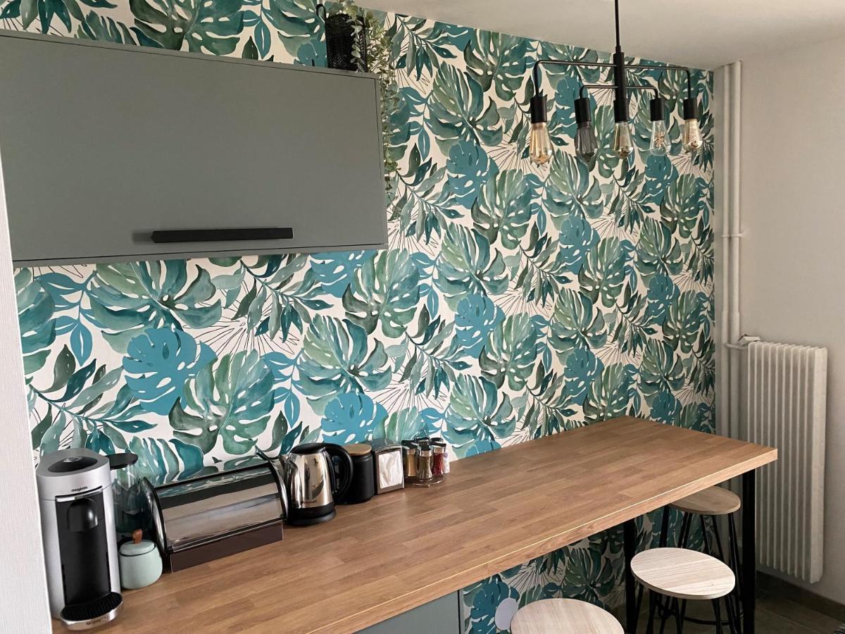 Magnifique Appartement Au Coeur De Mulhouse Eksteriør bilde