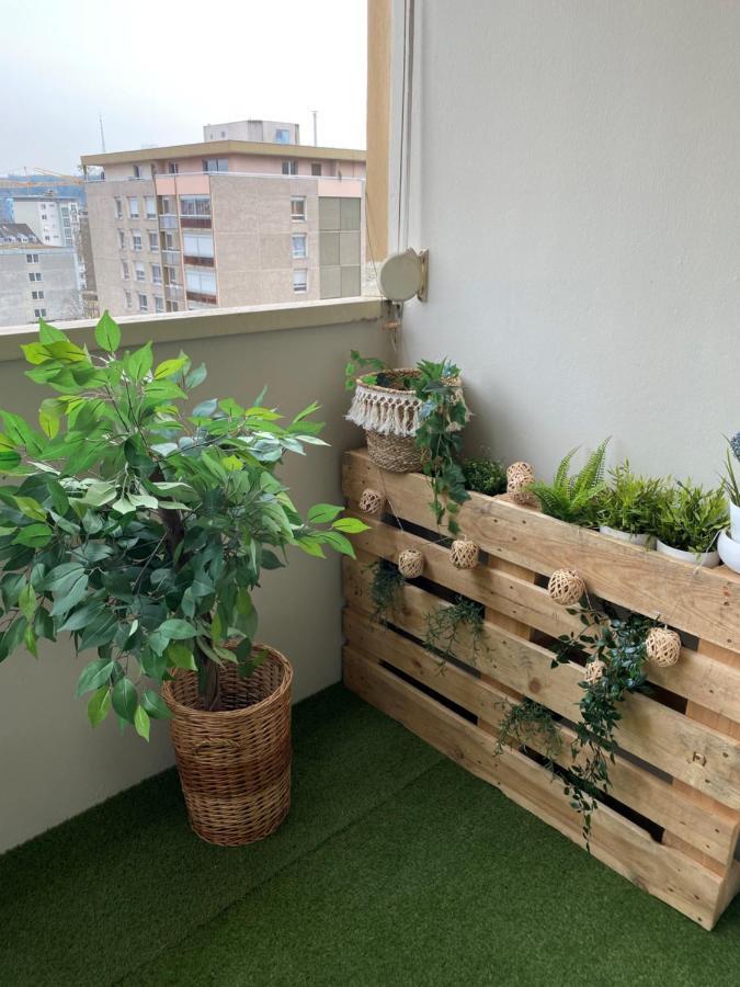 Magnifique Appartement Au Coeur De Mulhouse Eksteriør bilde
